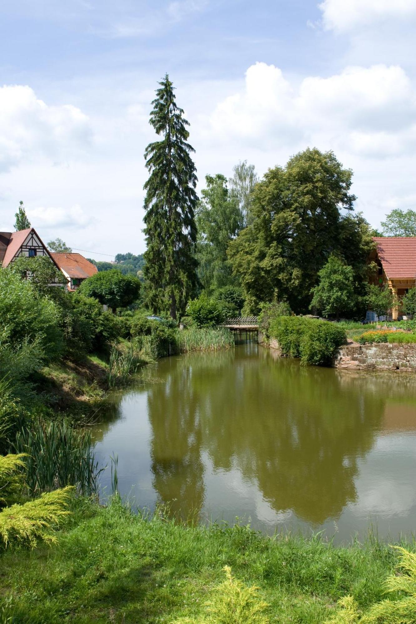 ホテル Auberge D'Imsthal ラ・プティット・ピエール エクステリア 写真